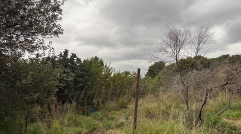 Foto 4 de Terreno en venta en Torre-roja-Campreciós, Viladecans