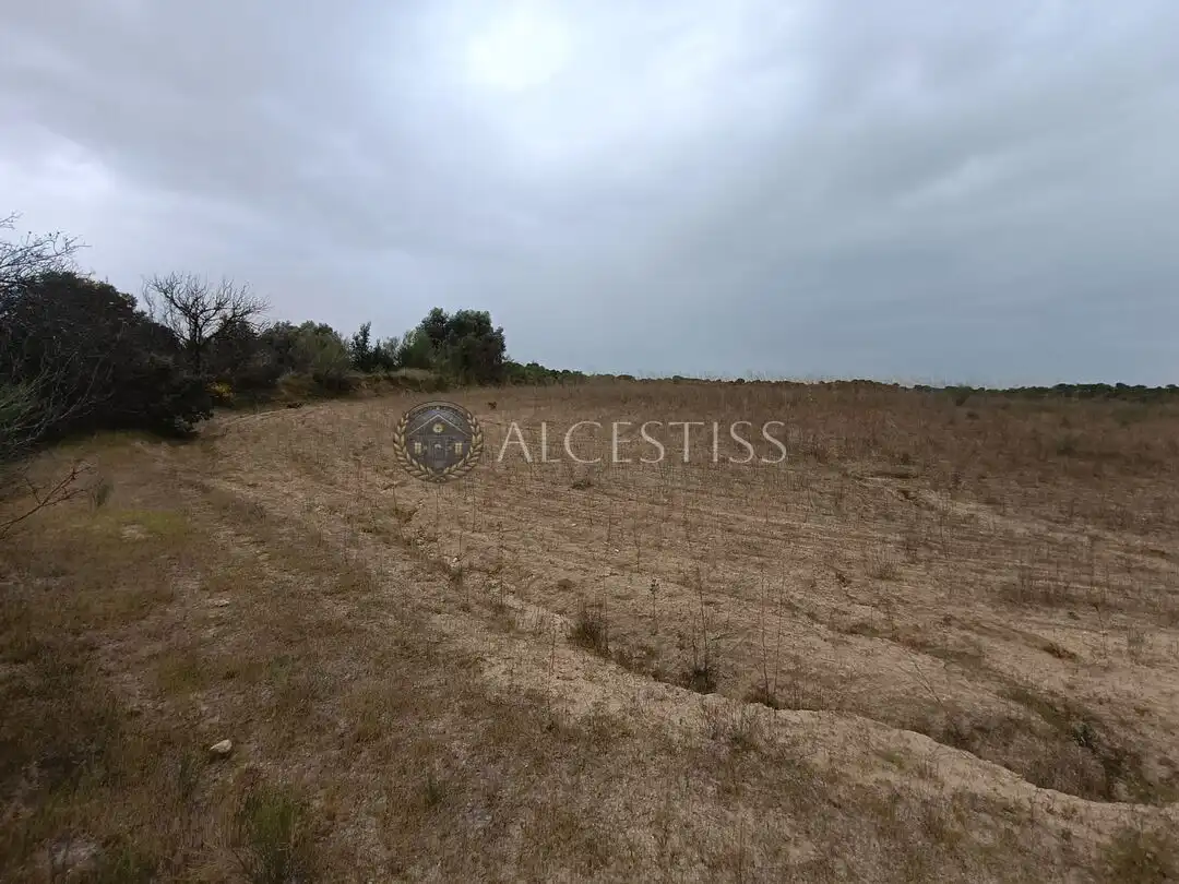Terreno rústico en venta en Aldea del Fresno, imagen 8