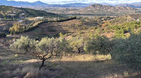 Photo 3 of Land for sale in Centro, Alhaurín El Grande