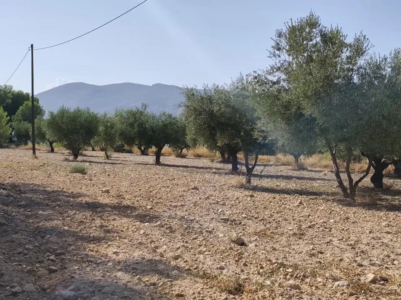 Terreno rustico in vendita a Castalla, imagen 16
