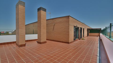 Foto 2 de Ático de alquiler en Paseo de la Concordia, 7, Soto del Henares, Torrejón de Ardoz
