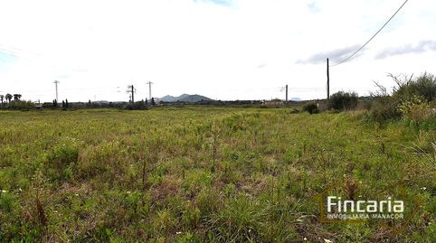 Foto 5 de Finca rústica en venta en De S'estació, Manacor Centre, Manacor