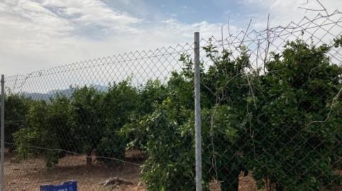 Foto 3 de Terreny en venda a Cami Onda - Poligono 7, Nules, Castellón