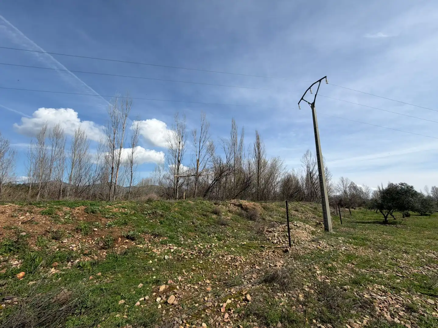 Grundstücke und Bauplätze zum Verkauf in Malagón, imagen 23