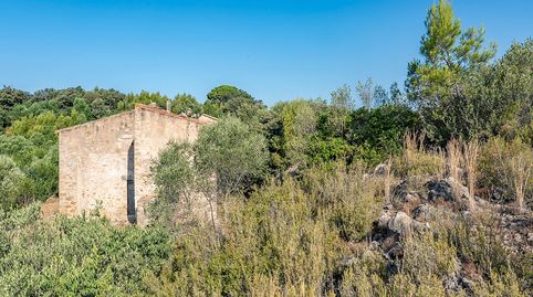 Foto 4 de Finca rústica en venta en Llers, Girona