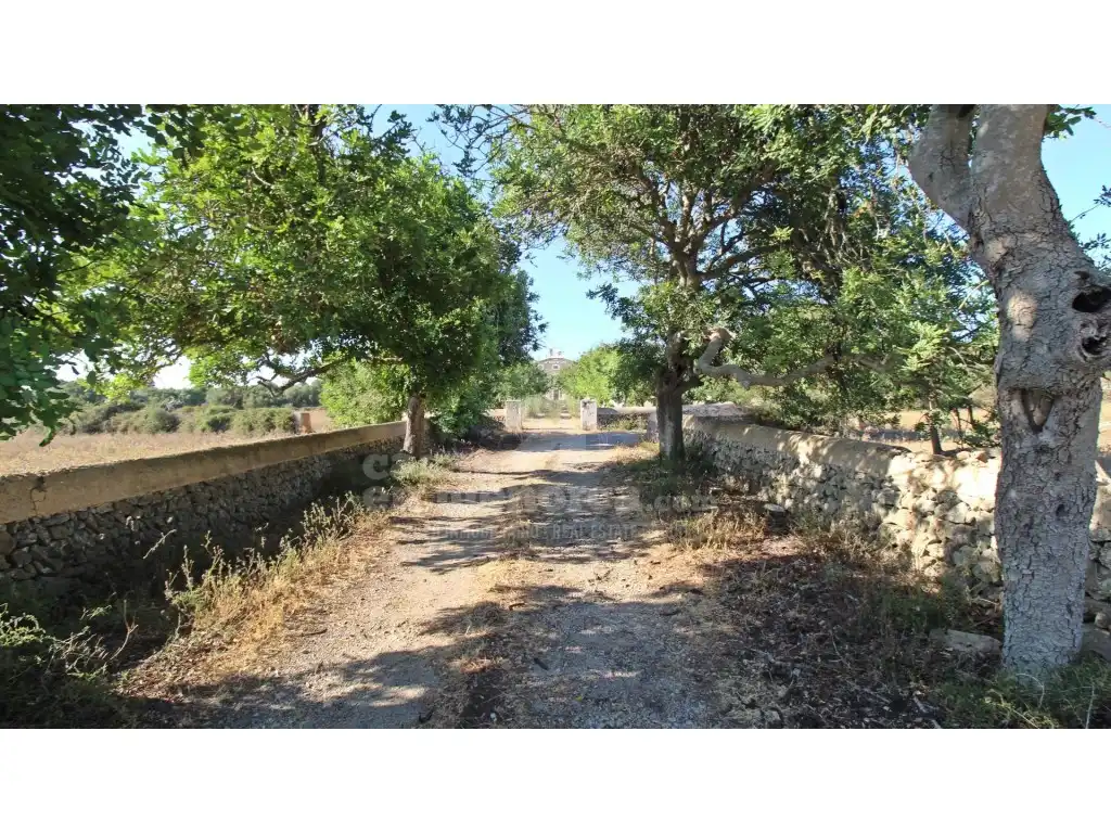 Maison avec jardin à vendre à Alaior poble, imagen 46