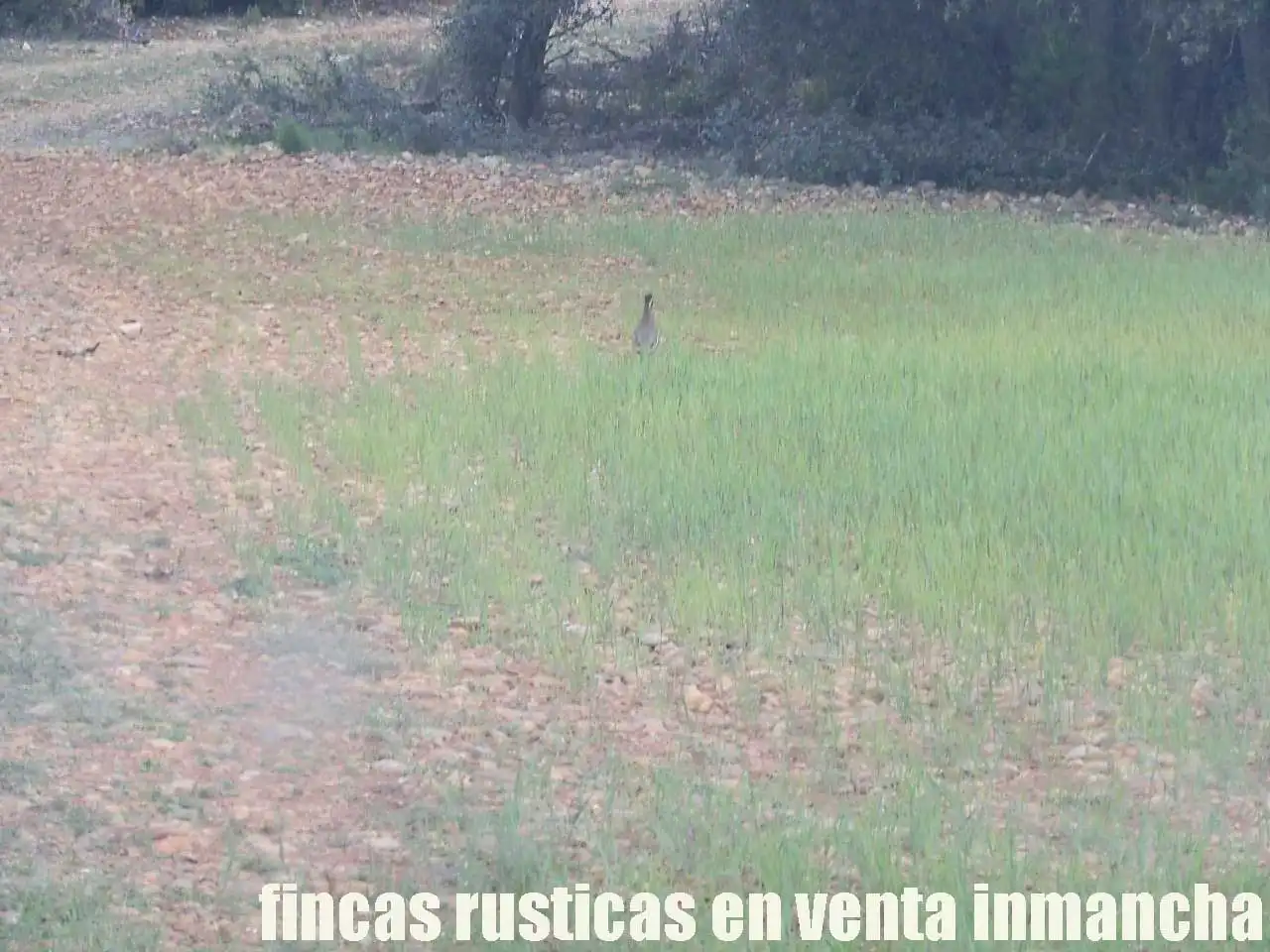 Terreno rustico in vendita a Ruidera, imagen 21