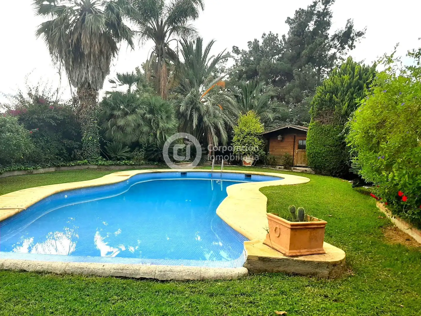 Jardín de Casa o chalet en venta en Lorca con Jardín privado, Terraza y Trastero