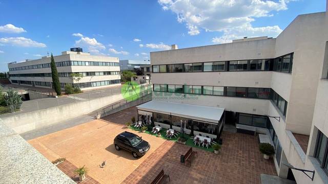 Oficina en Alquiler en El Pinar - Punta Galea