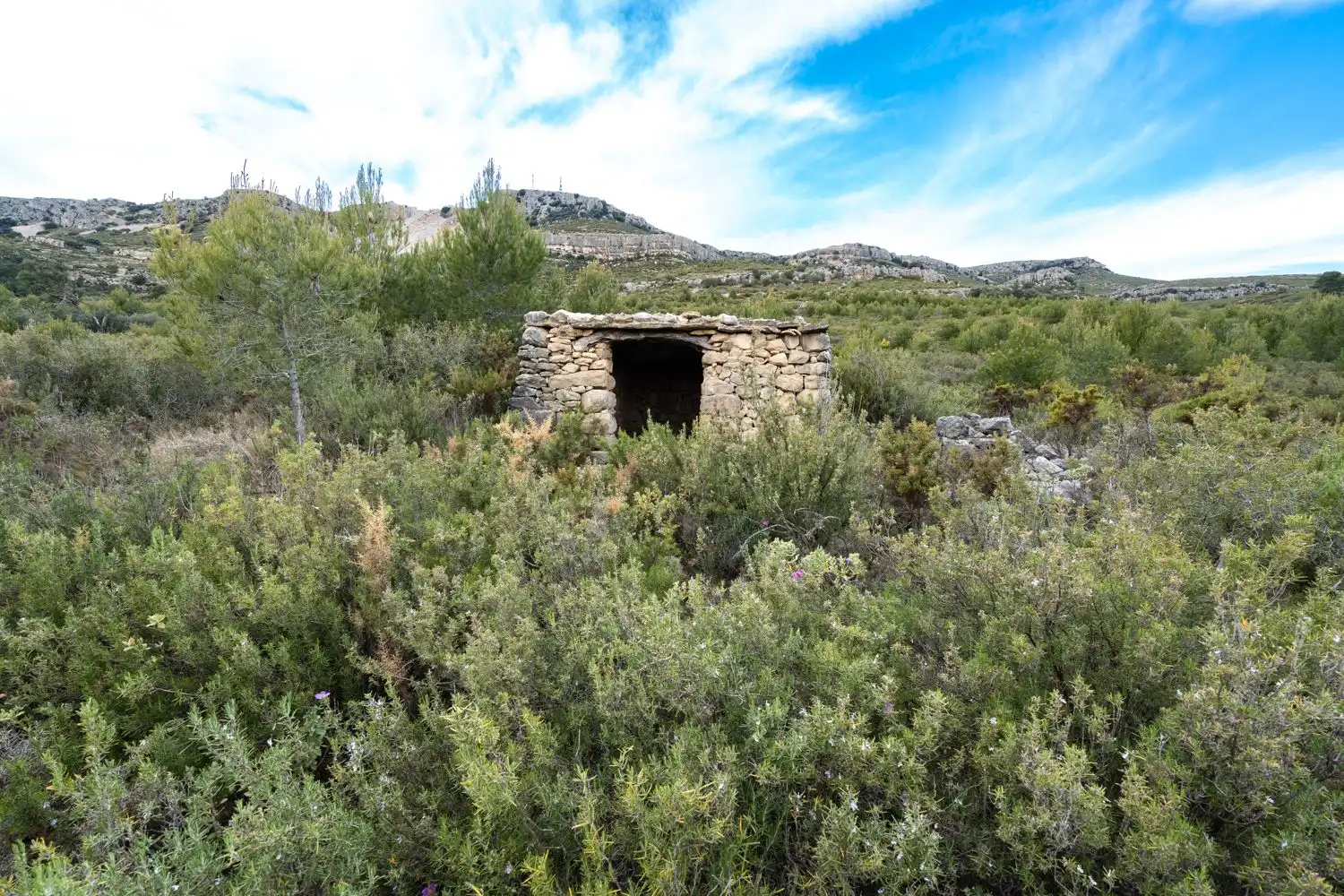 Grundstücke zum Verkauf in Canet lo Roig