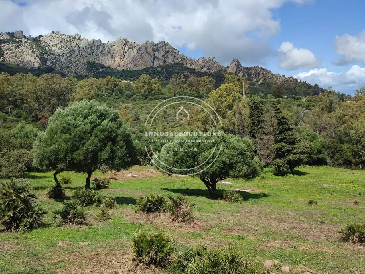 Terreno rustico in vendita a Tarifa ciudad