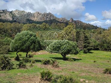 Terreno rustico in vendita a Tarifa ciudad