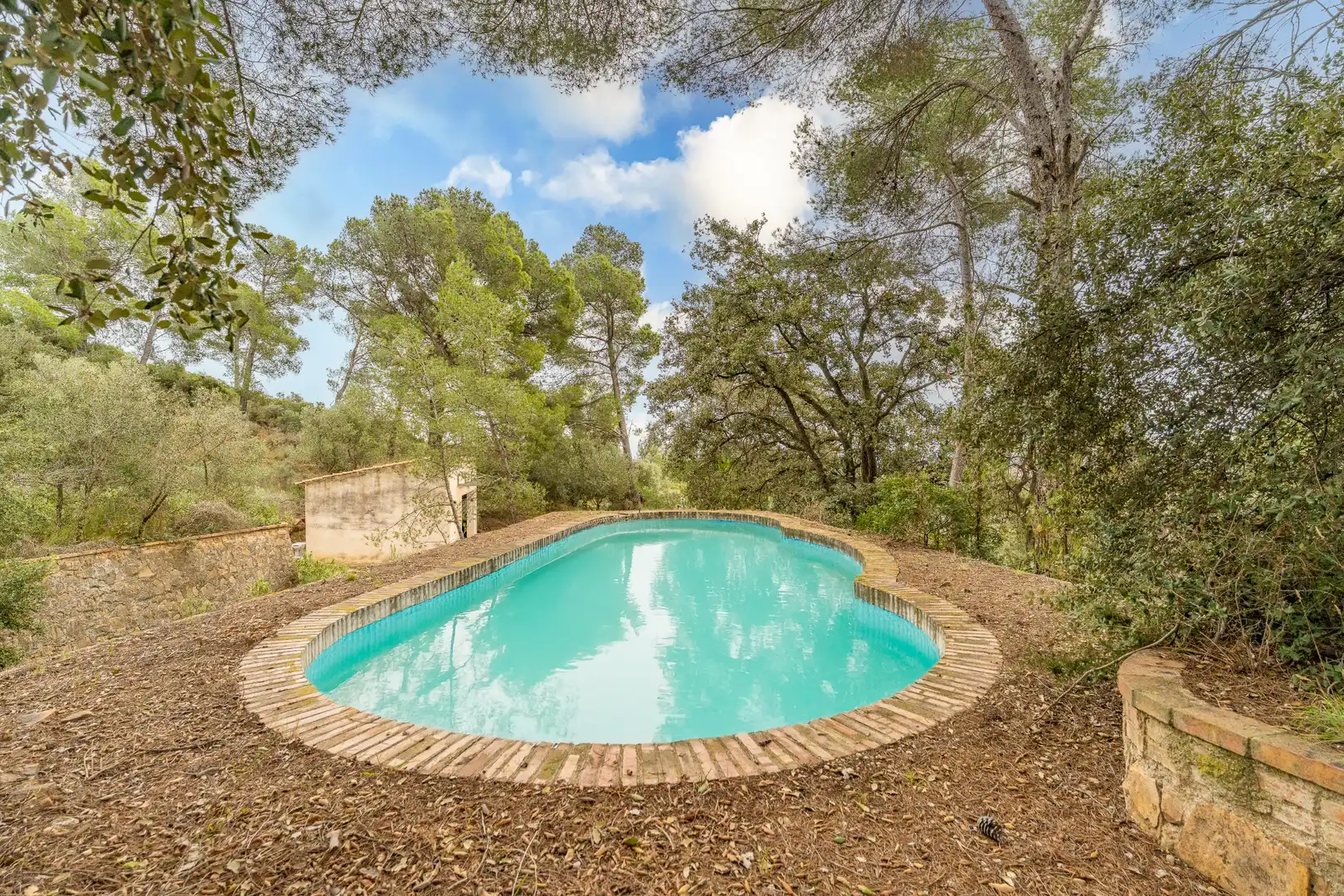 Piscina de Finca rústica en venda en Les Borges del Camp amb Jardí privat, Terrassa i Traster