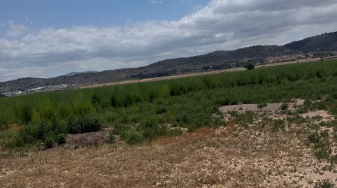 Foto 2 de Residencial en venda a Partidas Norte, Villena