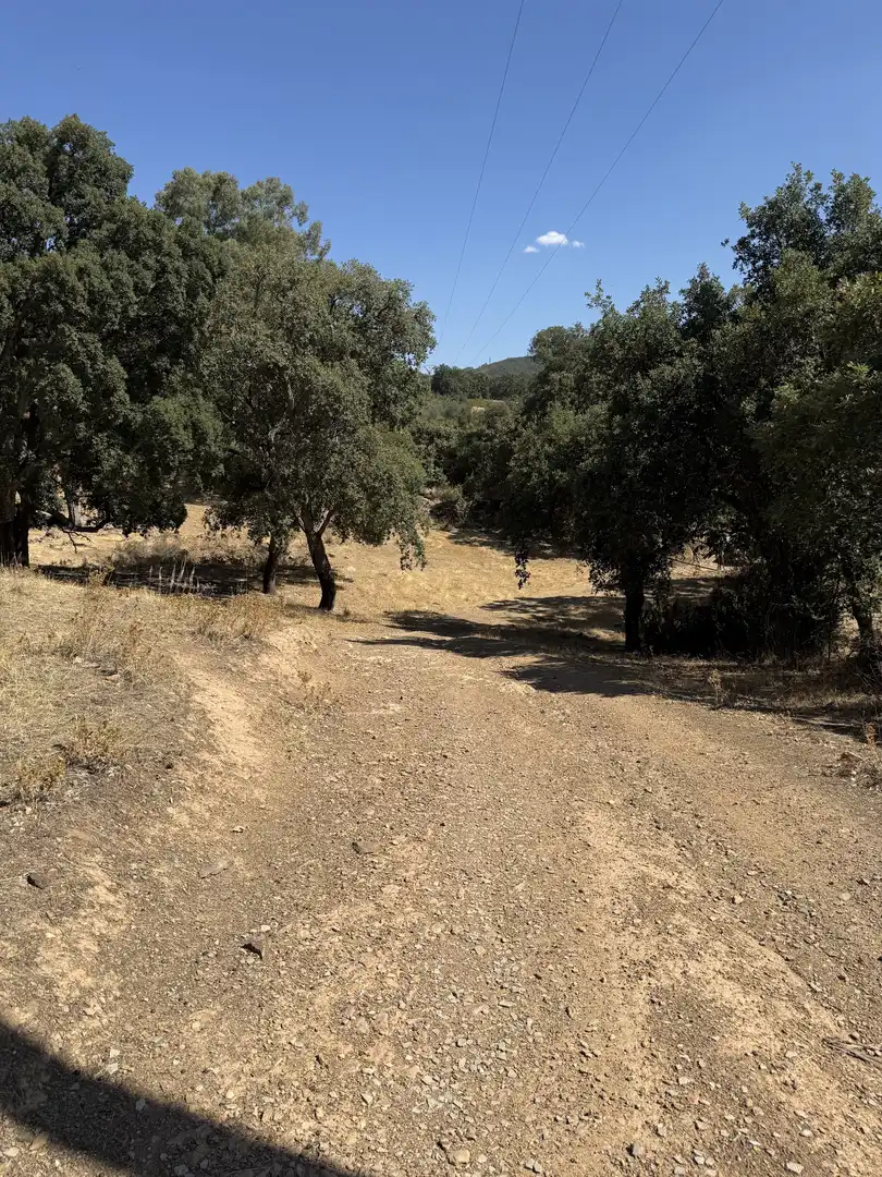 Terreno en venta en Berzocana