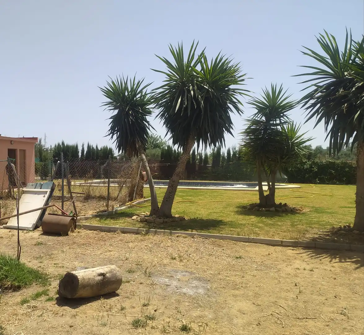 Finca rústica en venda a Carretera Don Rodrigo, 4, Pedanías Norte