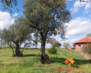 Finca rústica en venda en Mérida