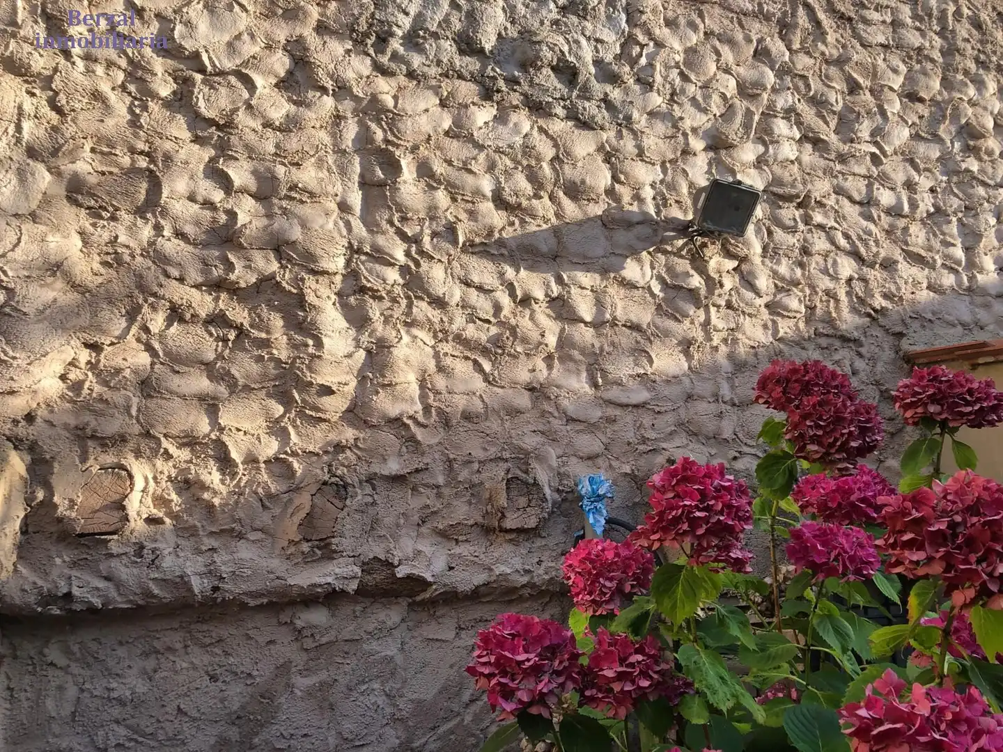 Vista exterior de Casa o xalet en venda en Baños de Río Tobía amb Traster, Moblat i Balcó