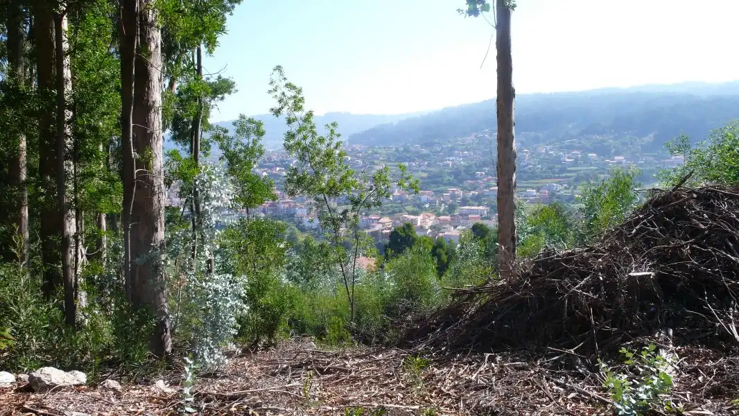 Terreni e lotti in vendita a Ramorta de Arriba, imagen 14