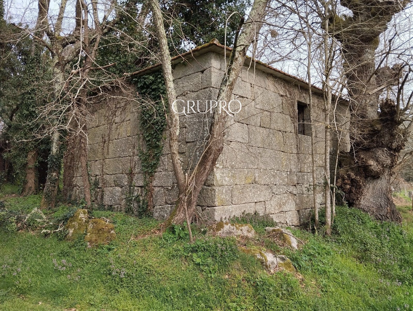 Exterior view of House or chalet for sale in Nogueira de Ramuín  with Private garden