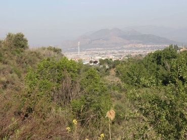 Terreno residencial en venta en Jun