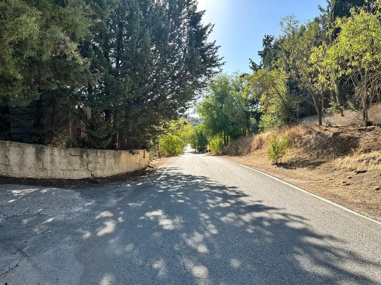Terreni e lotti in vendita a Íllora, imagen 13