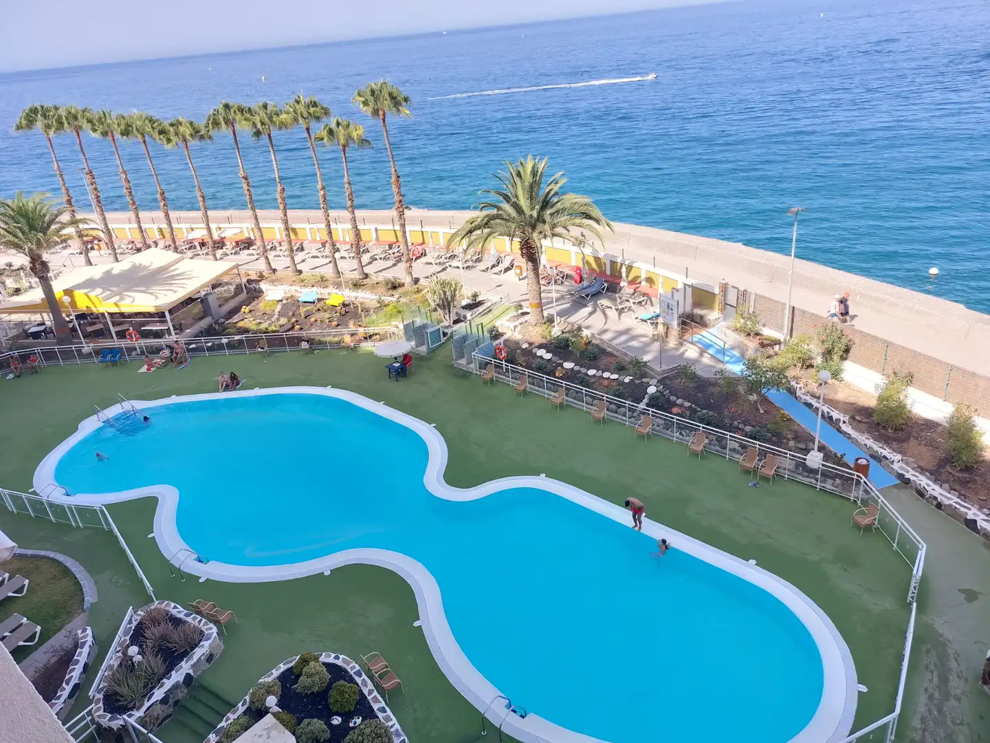 Swimming pool of Apartments for rent in Mogán  with Furnished, Washing machine and Microwave