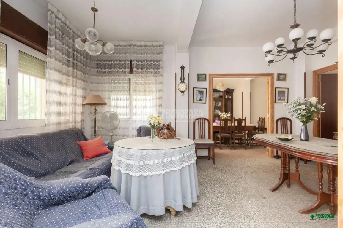 Sala d'estar de Casa adosada en venda en Albox amb Balcó