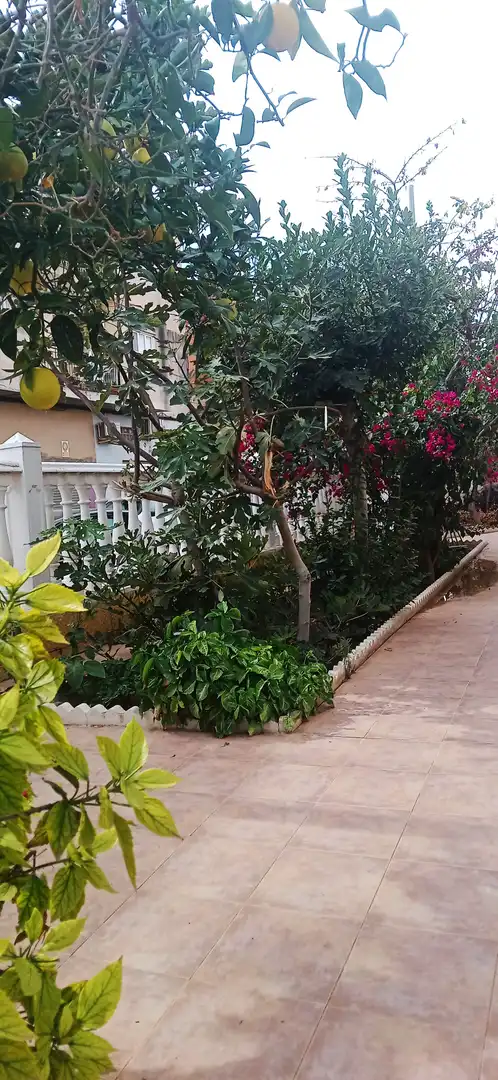Casa con giardino in vendita a Calle Río Sil, imagen 8