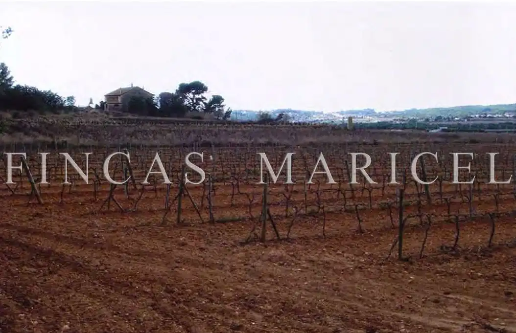 Finca rústica en venda a Vallpineda - Rocamar