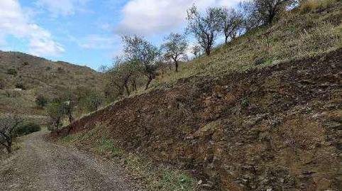 Photo 4 of Residential for sale in La Campana, -1, Cártama, Málaga