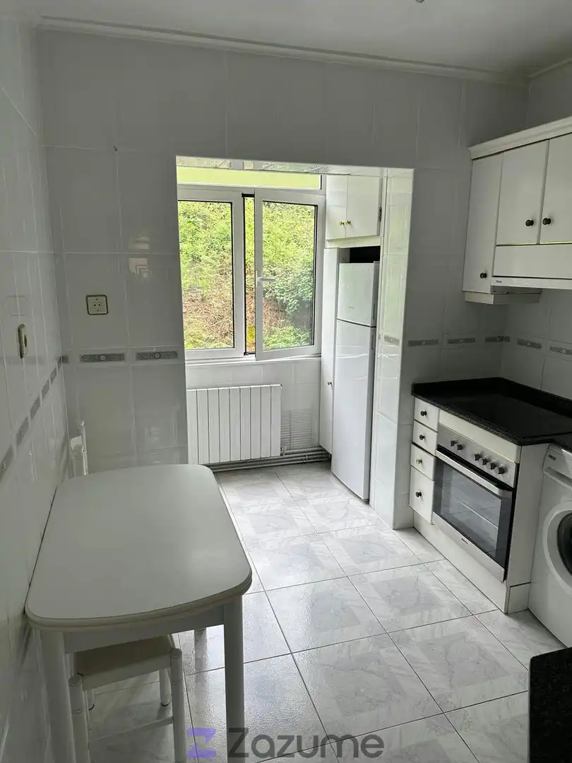 Kitchen of Flat for rent in Mieres (Asturias)  with Heating, Parquet flooring and Furnished