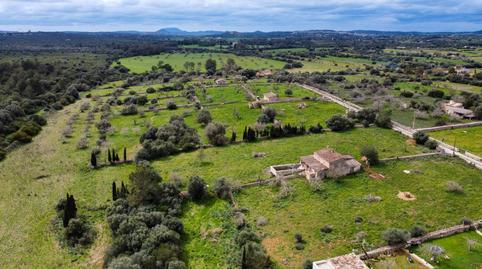 Photo 4 of Country house for sale in Santa Margalida Poble, Santa Margalida