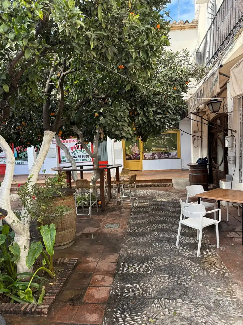 Local commercial à vendre à Urbanizacion Urbanización Pueblo Andaluz, imagen 20
