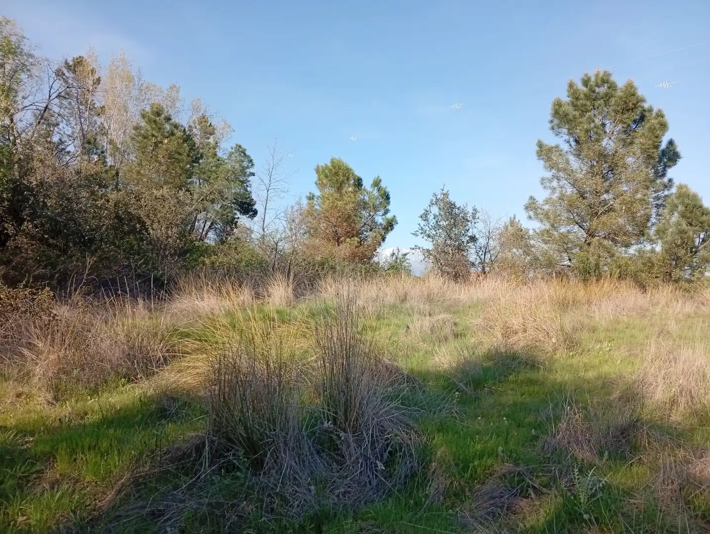 Terreni e lotti in vendita a Villanueva de la Vera, imagen 39