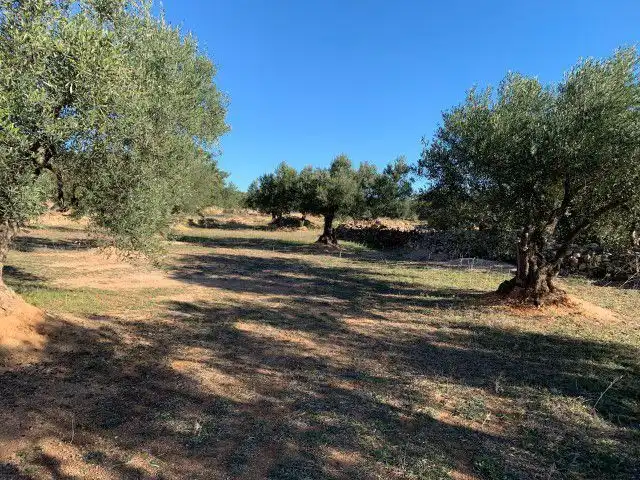Landhaus zum Verkauf in Xerta, imagen 5