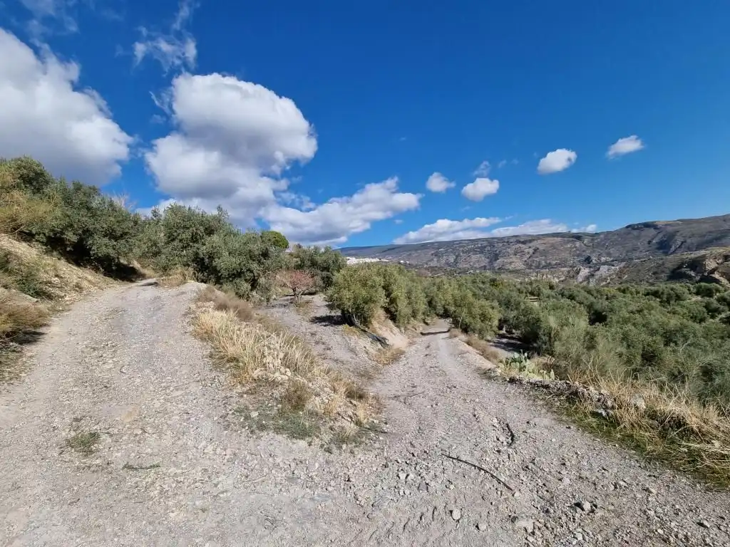 Terreni e lotti in vendita a Nevada, imagen 5