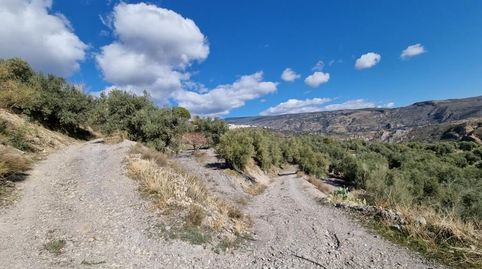 FINCAS EN VENTA (LAROLES – GRANADA), immagine 5