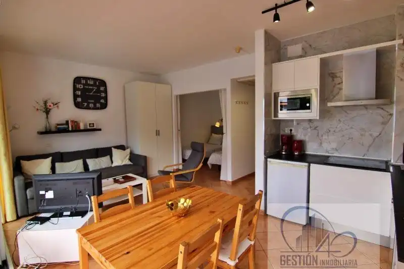 Living room of Apartments for rent in Puerto de la Cruz  with Parquet flooring, Terrace and Furnished