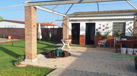 Foto 3 de Terreno en venta en Pedanías Norte, Utrera
