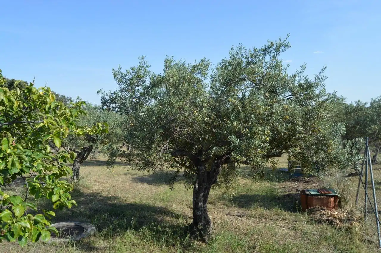 Finca rústica en venta en Mirabel con Aire acondicionado, Calefacción y Trastero