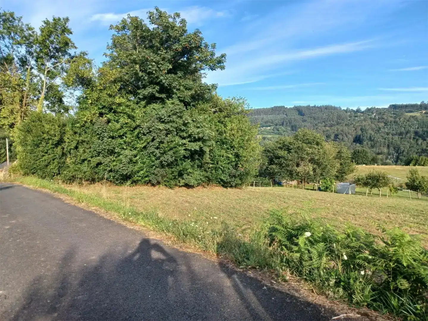 Country house zum Verkauf in As Somozas 
