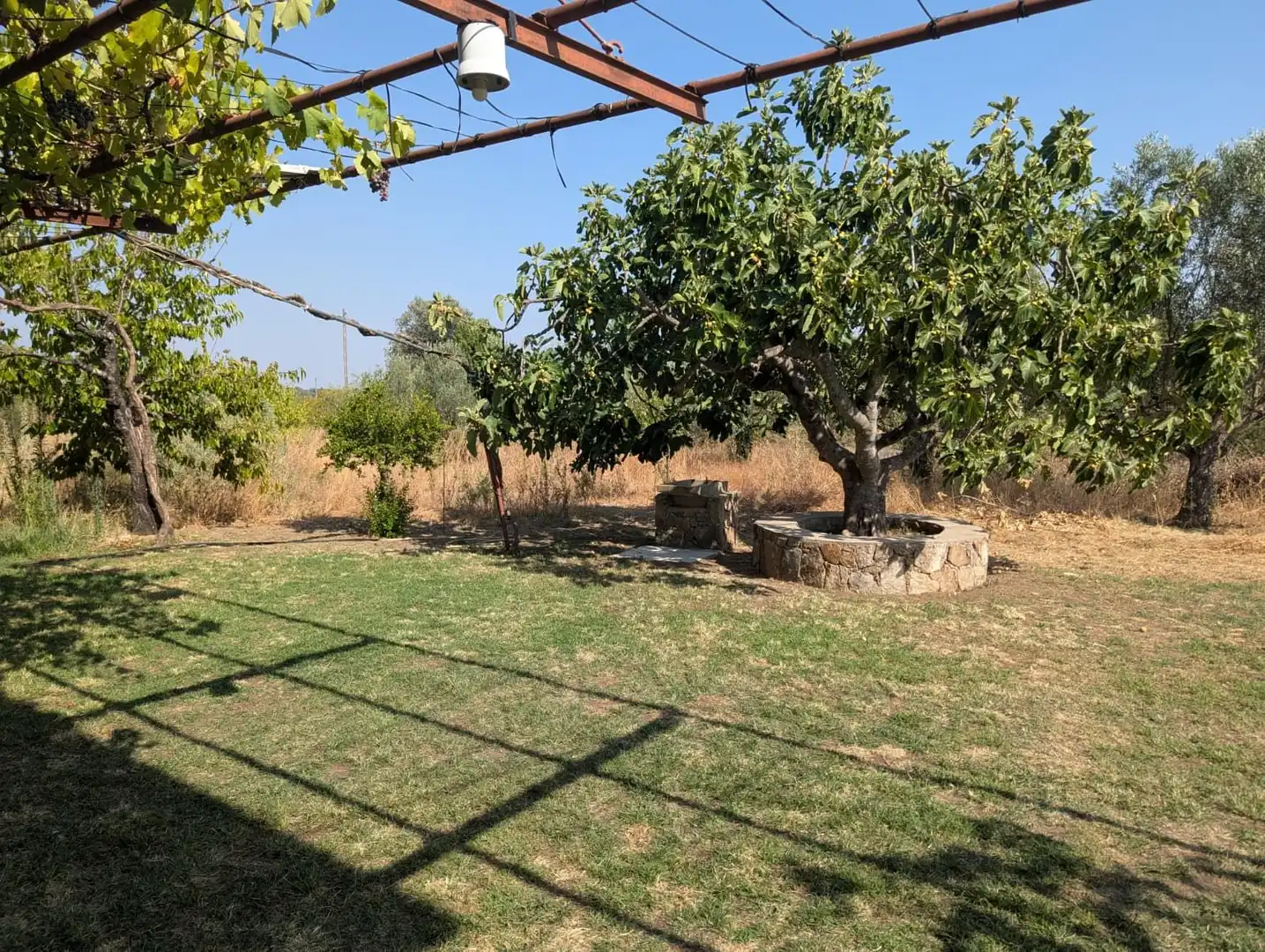 Rural land for sale in Villanueva de la Vera, imagen 14