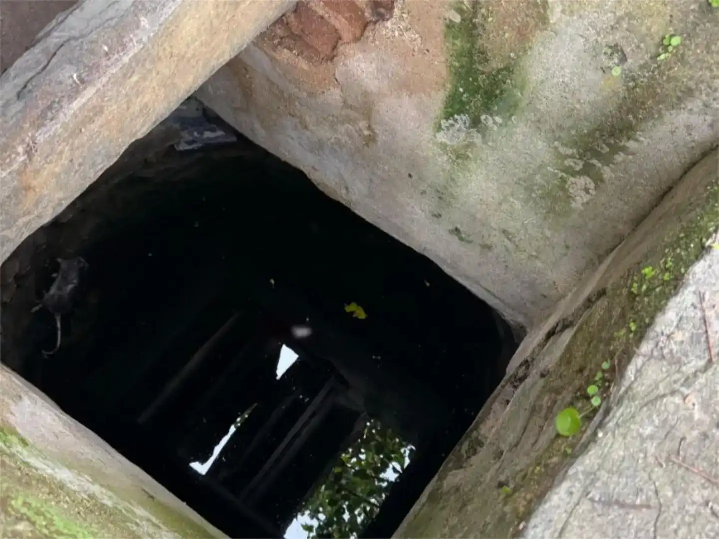 Pis en venda en Alcollarín amb Aire condicionat, Traster i Moblat