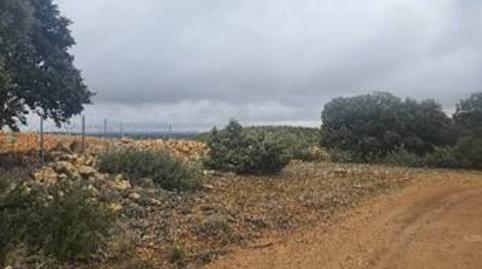 Foto 2 de Terreno en venta en Casas de Lázaro, Albacete