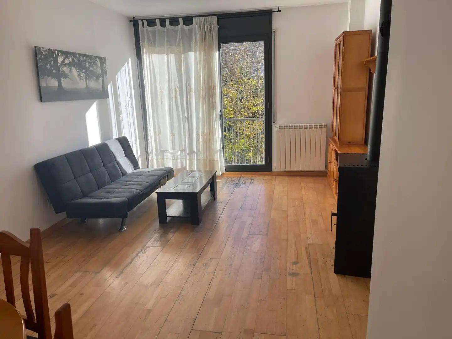 Sala de estar de Piso en venta en El Pont de Suert