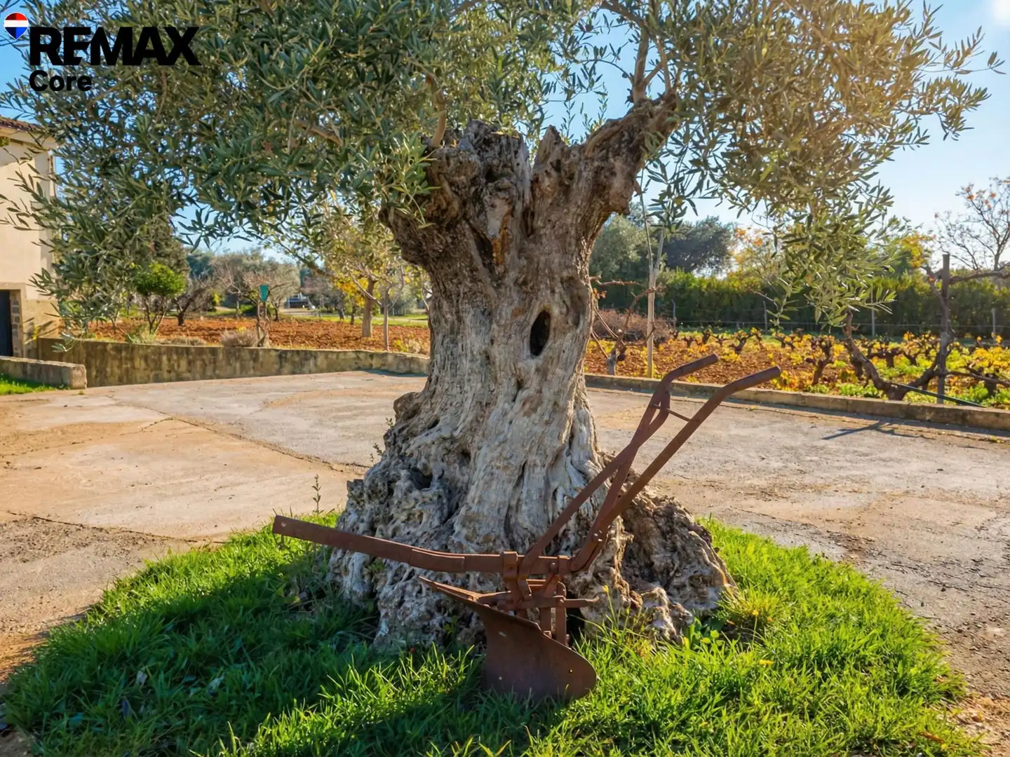 Jardí de Casa o xalet en venda en Badajoz amb Jardí privat, Terrassa i Traster