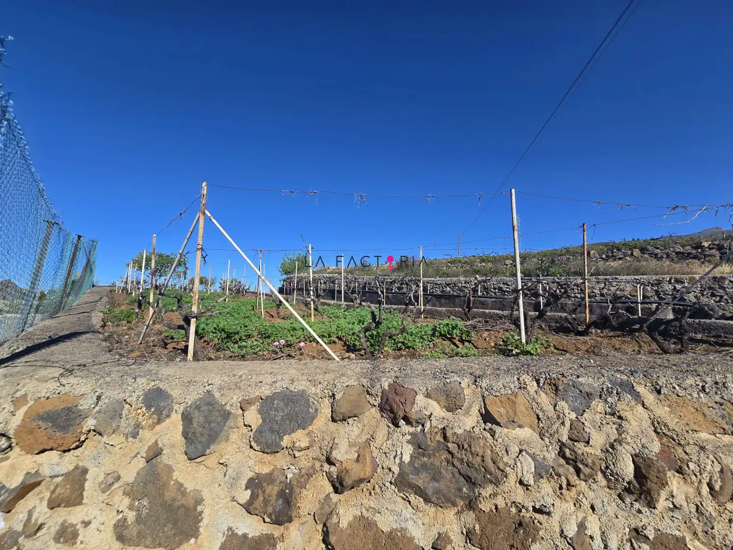 Terreno rústico en venta en Vilaflor de Chasna, imagen 17