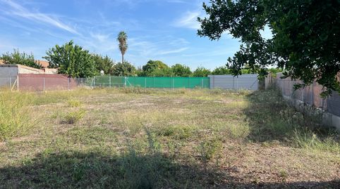 Foto 3 de Terreny en venda a Diseminado Carril Tites, 129, La Arboleja, Murcia Capital