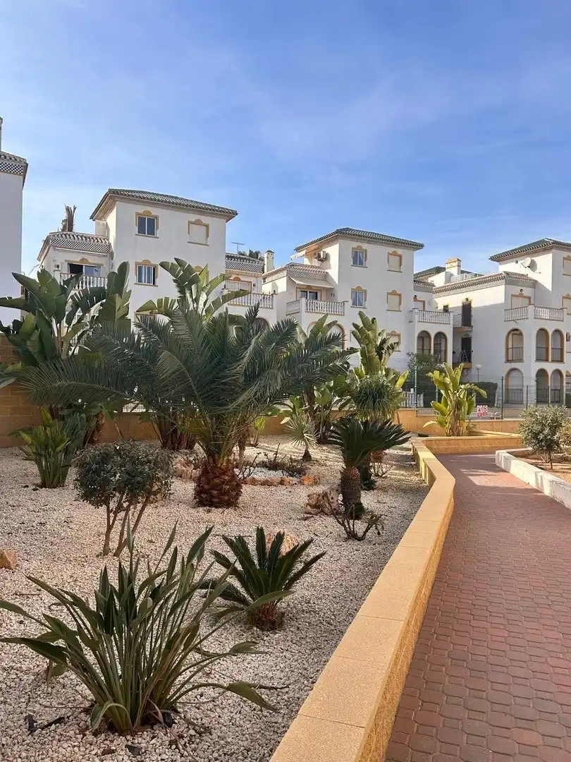 Apartament amb piscina en venda a Torre La Mata, imagen 2